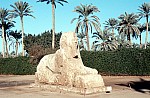 Thumbnail of Aegypten 1979-01-041.jpg